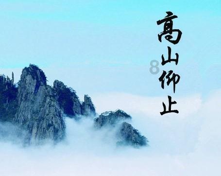无忧国际wy6999